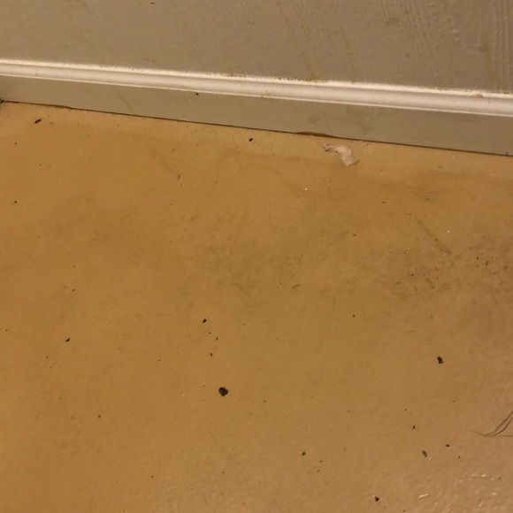 Meet your Posher, Matthew - Picture 1 of 1